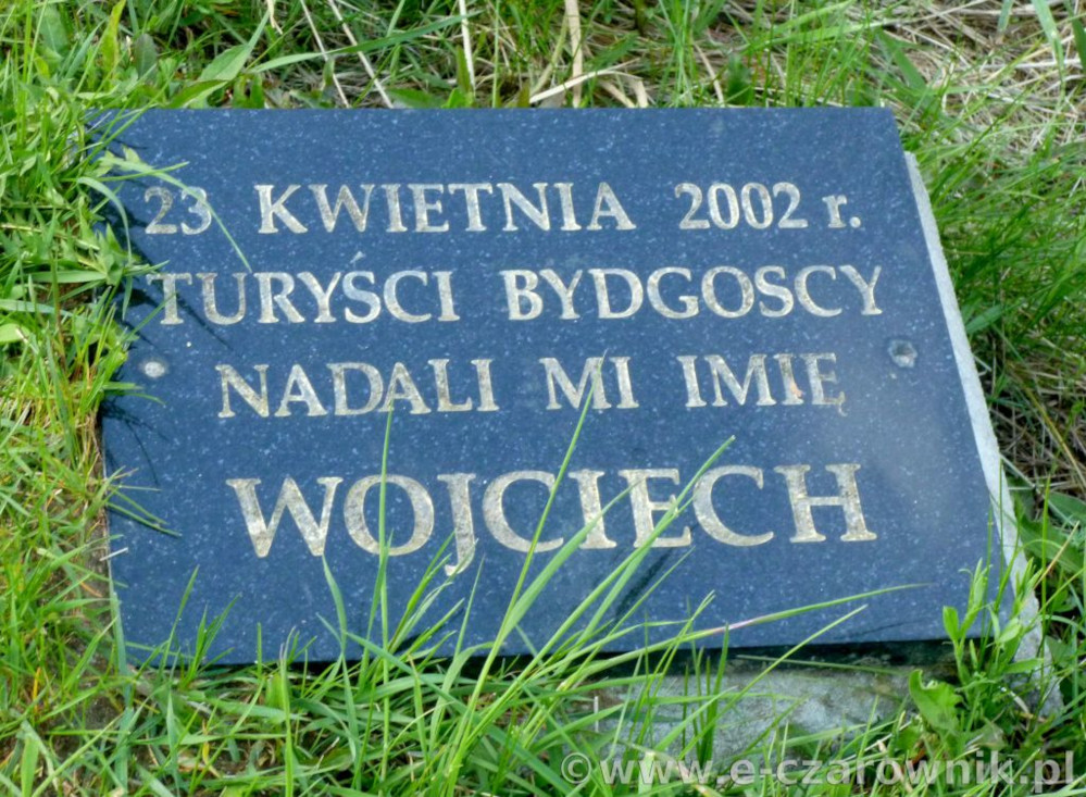 Tabliczka informacyjna przy głazie Wojciech