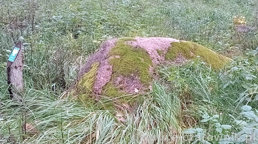 Głaz koło Glinek #2