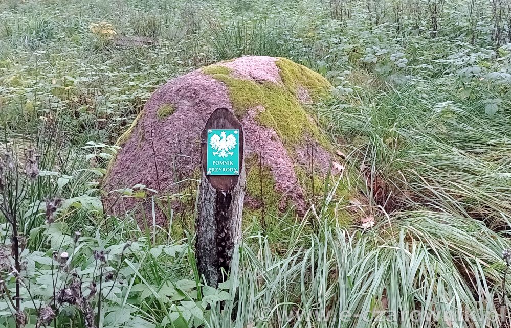 Głaz koło Glinek #2