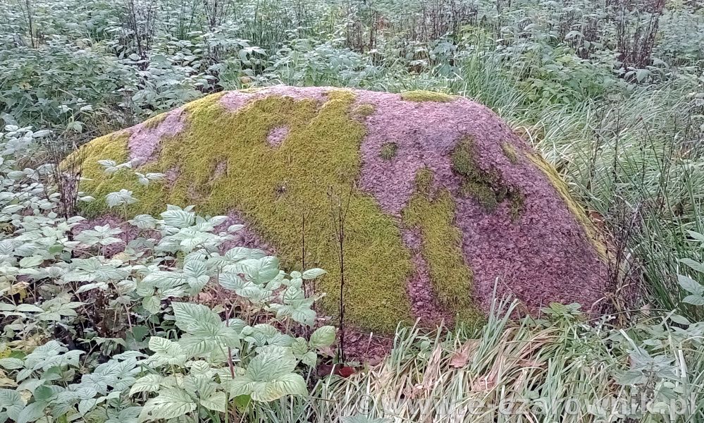 Głaz koło Glinek #2
