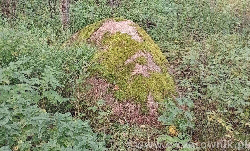 Głaz koło Glinek #2