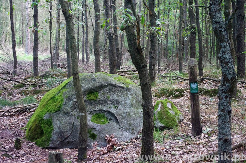 Głaz koło Glinek #3