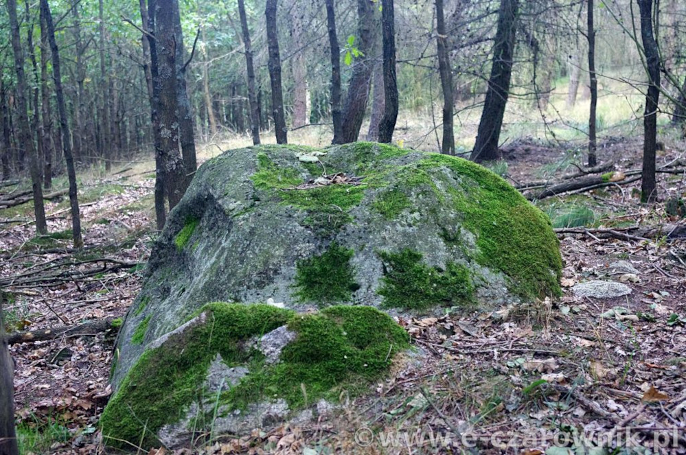 Głaz koło Glinek #3