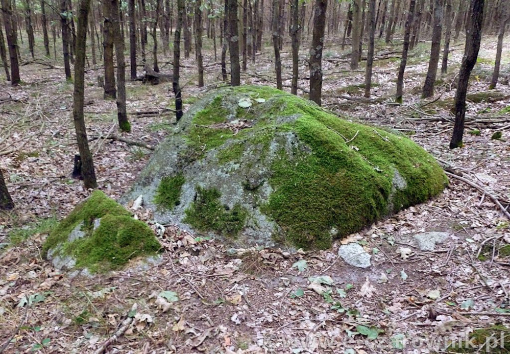 Głaz koło Glinek #3