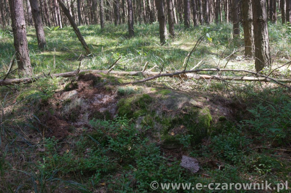 Głaz koło Glinek #4