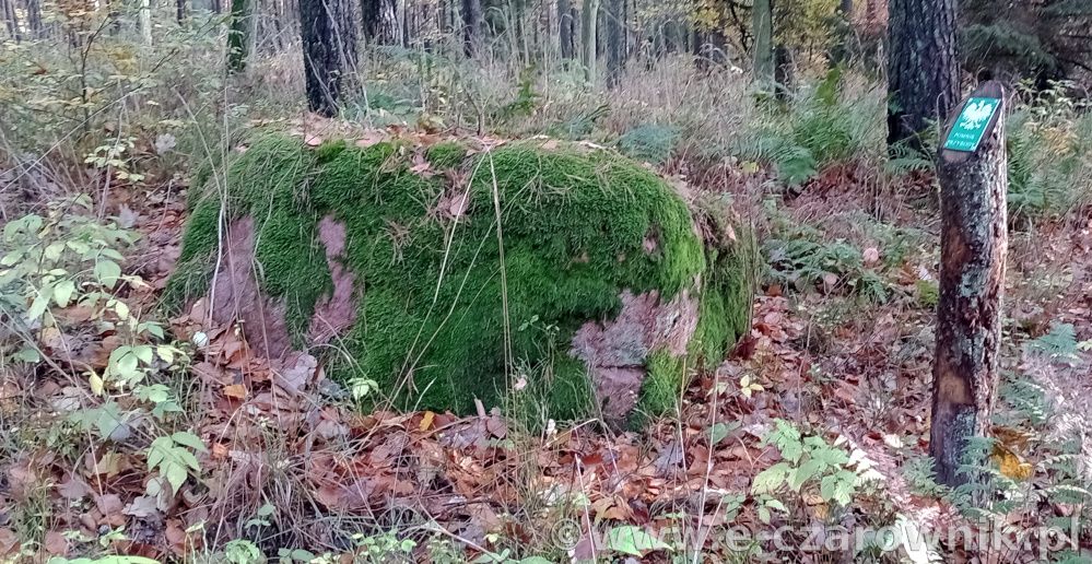 Głaz koło Glinek #6