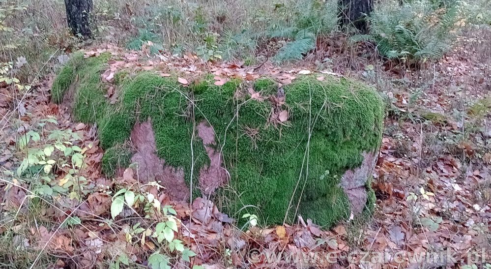 Głaz koło Glinek #6