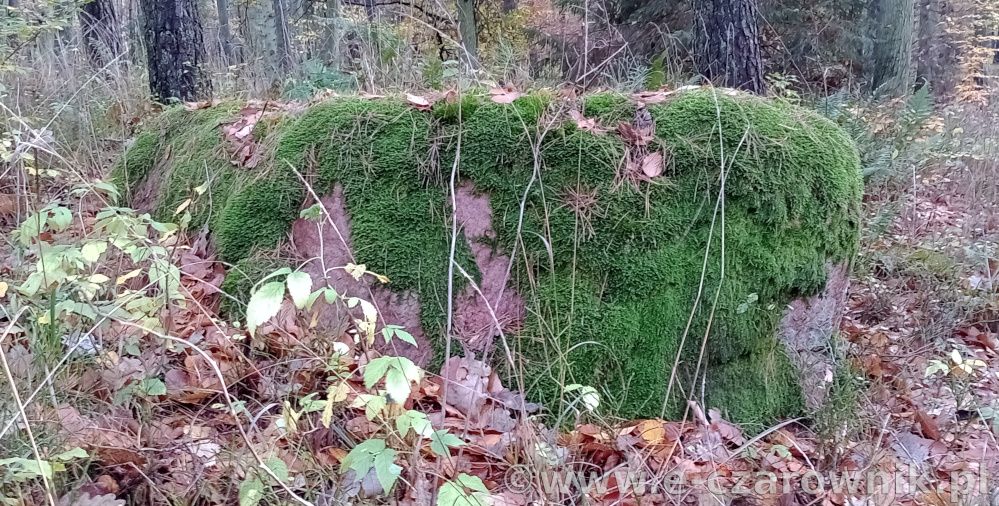 Głaz koło Glinek #6