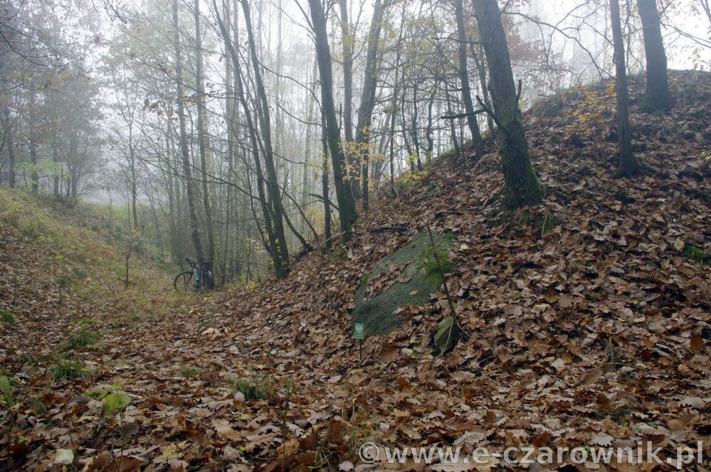 Kamień koło Koronowa 2