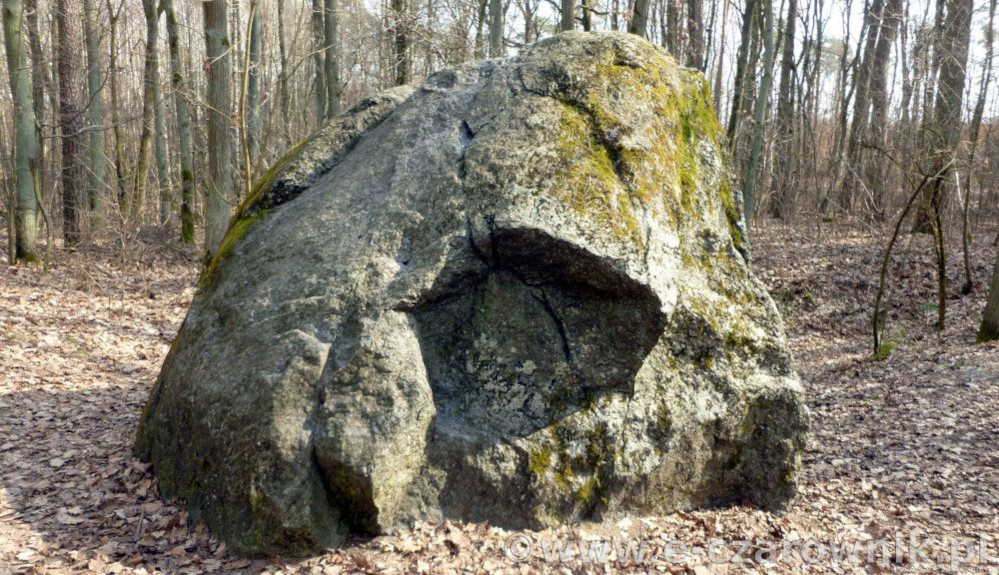 Widok na potężną bryłę głazu Kamienny Dom