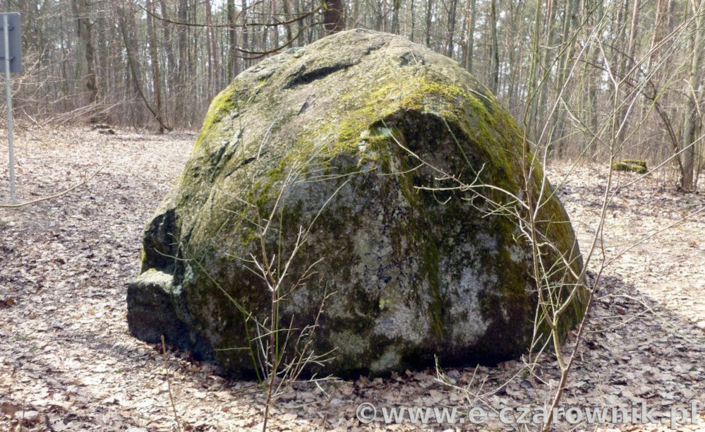Widok ogólny na głaz Kamienny Dom