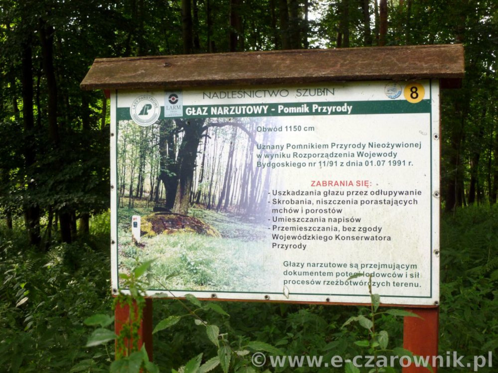 Głaz w Lubostromiu #1