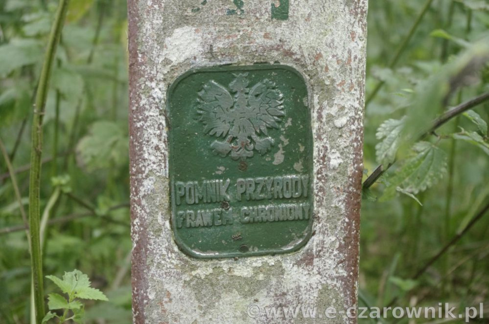 Głaz w Lubostromiu #1