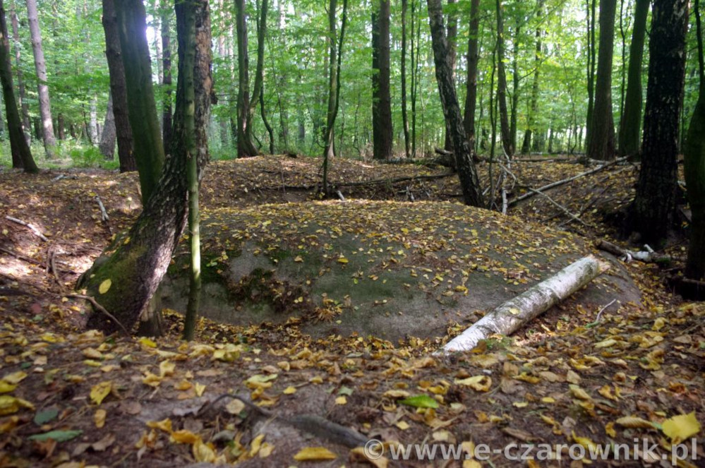 Głaz koło Suchej