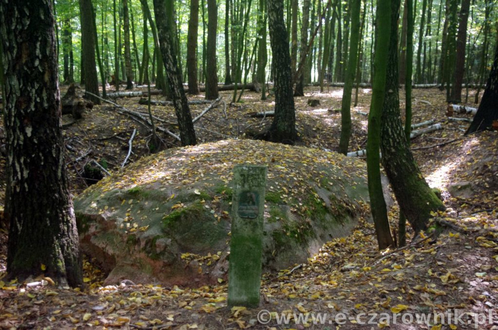 Głaz koło Suchej