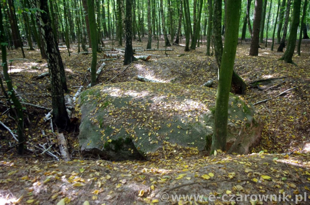 Głaz koło Suchej