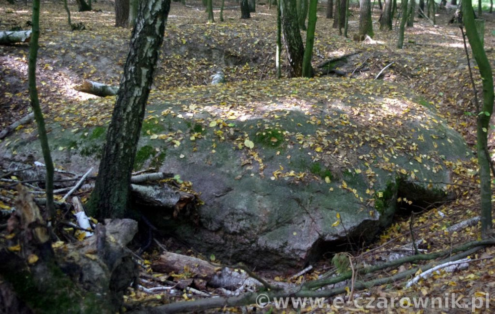 Głaz koło Suchej