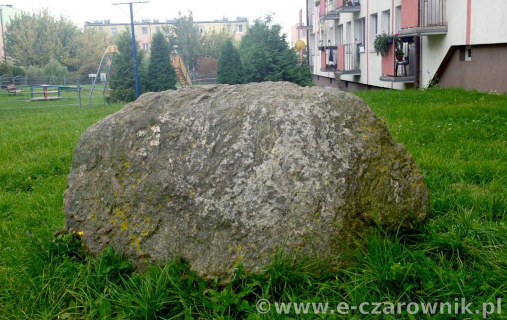 Głaz w Świeciu #1