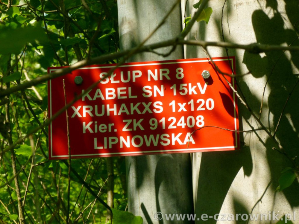 Głaz z Torunia