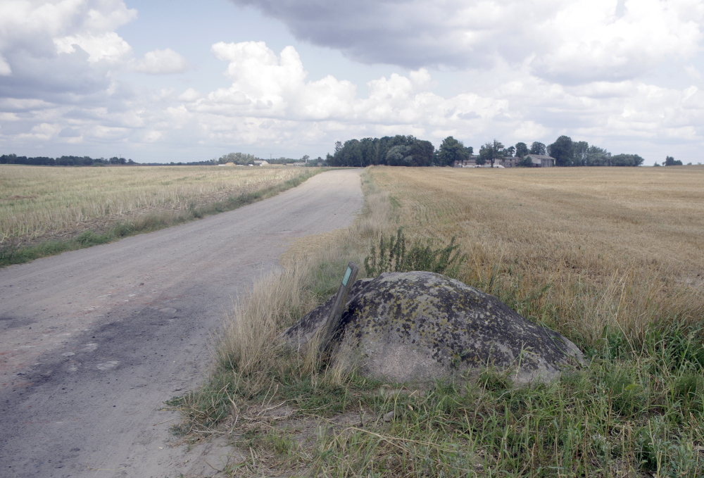 Głaz koło Zabartowa — widok od drogi